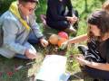 outdoor-activitiy