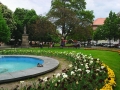 Plzen F6