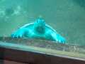 img-20230413-wa0041